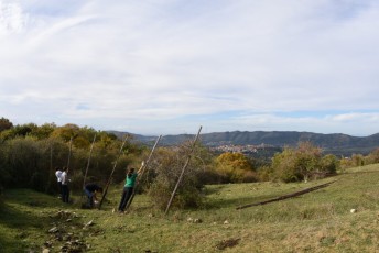 Rewilding Apennines team and volunteers removed barbed wire and unused fences at Bosco della Selva to increase ecological connectivity.