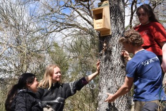 Volunteers installed artificial bird nests to encourage birds presence.
