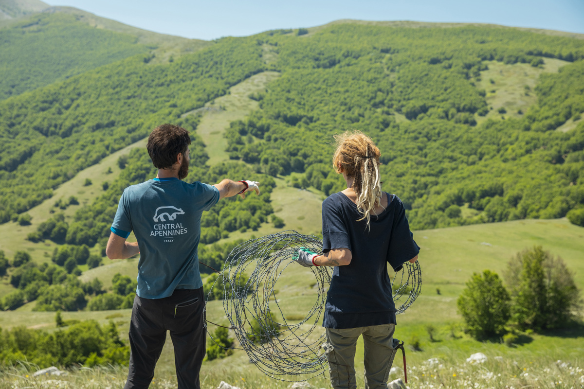 Rewilding Apennines field officer, Fabrizio Cordischi, coordinating volounteers for barbed wire removal operations in the area of Villalago, in the wildlife corridor between the Abruzzo, Lazio and Molise National Park and the Majella National Park. Central Apennines, Italy. 2020