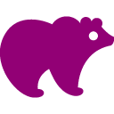 The bear