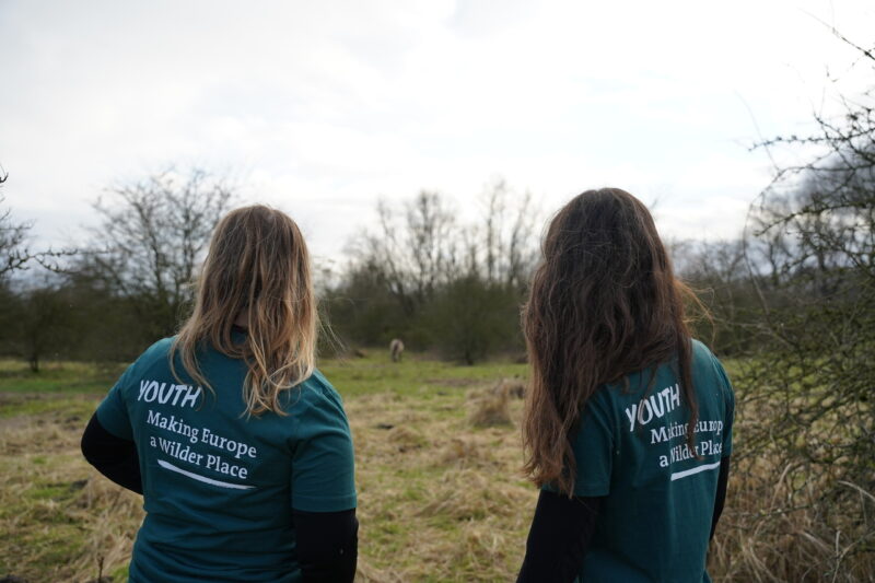 EYR Coordinator and EYR volunteer looking at a Konik horse while wearing the EYR tshirt