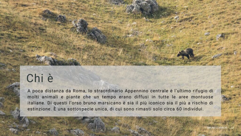 Chi è