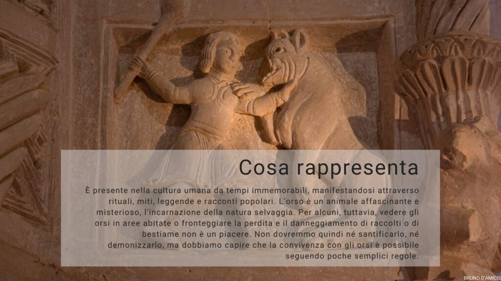 Cosa rappresenta