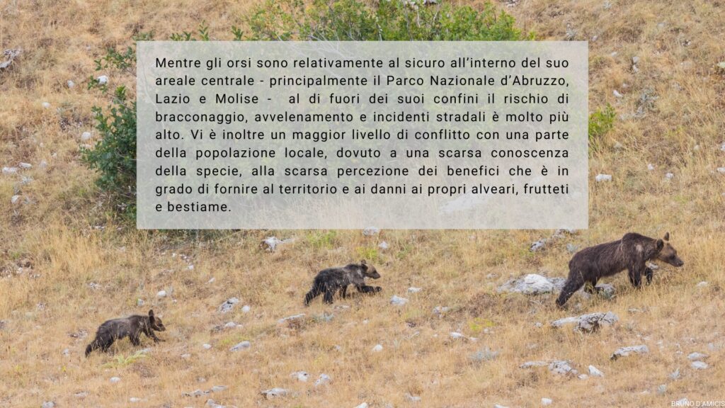 Lo Stato