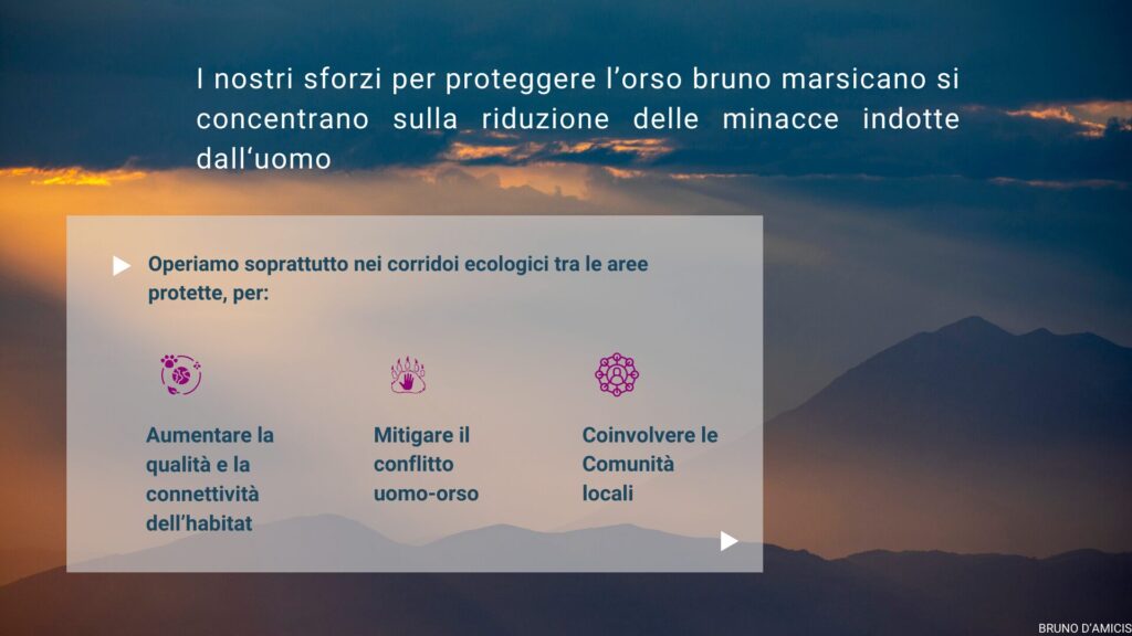 Cosa facciamo