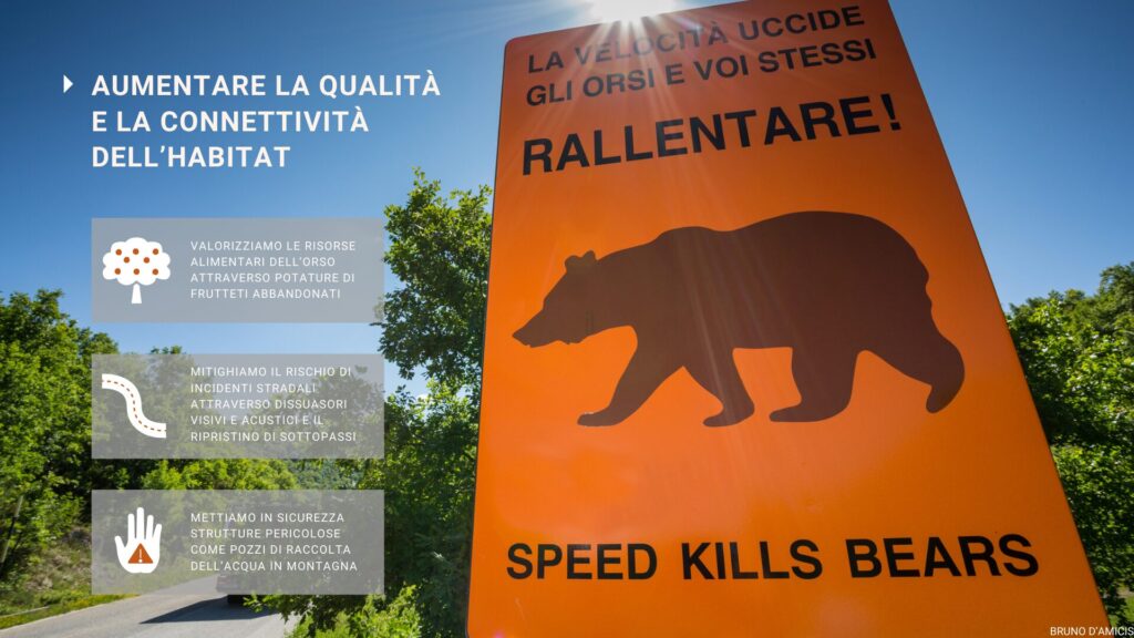 Connettività