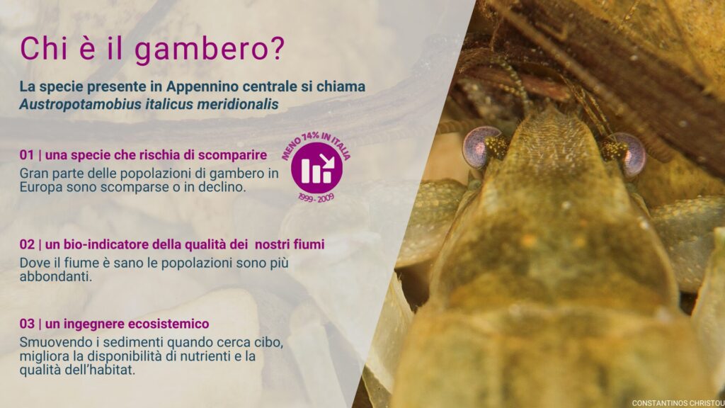 Chi è?