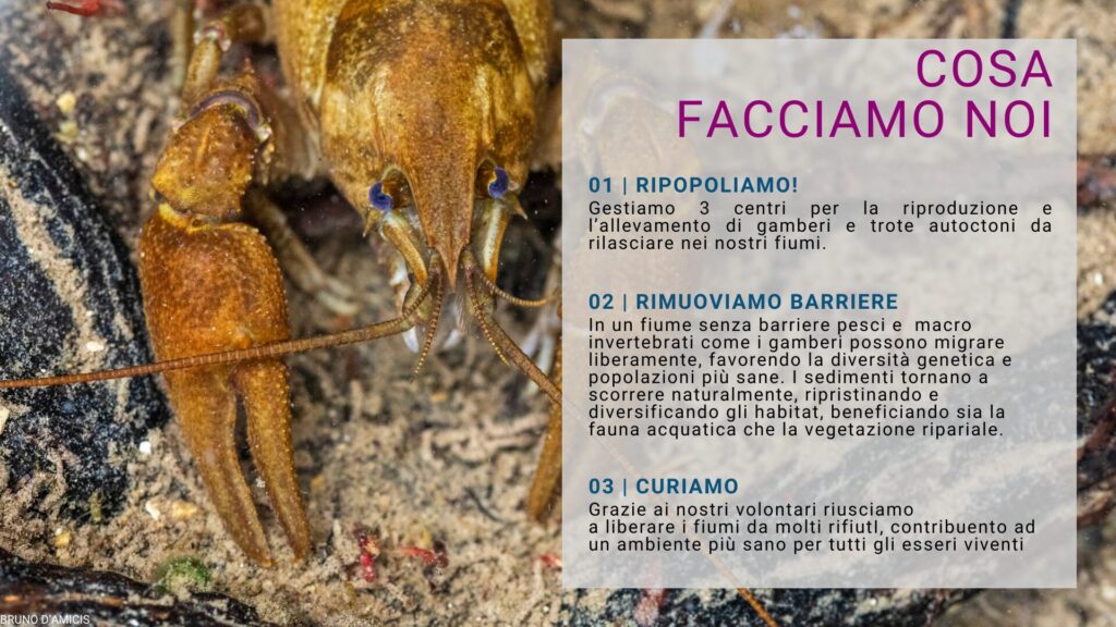 Cosa facciamo noi