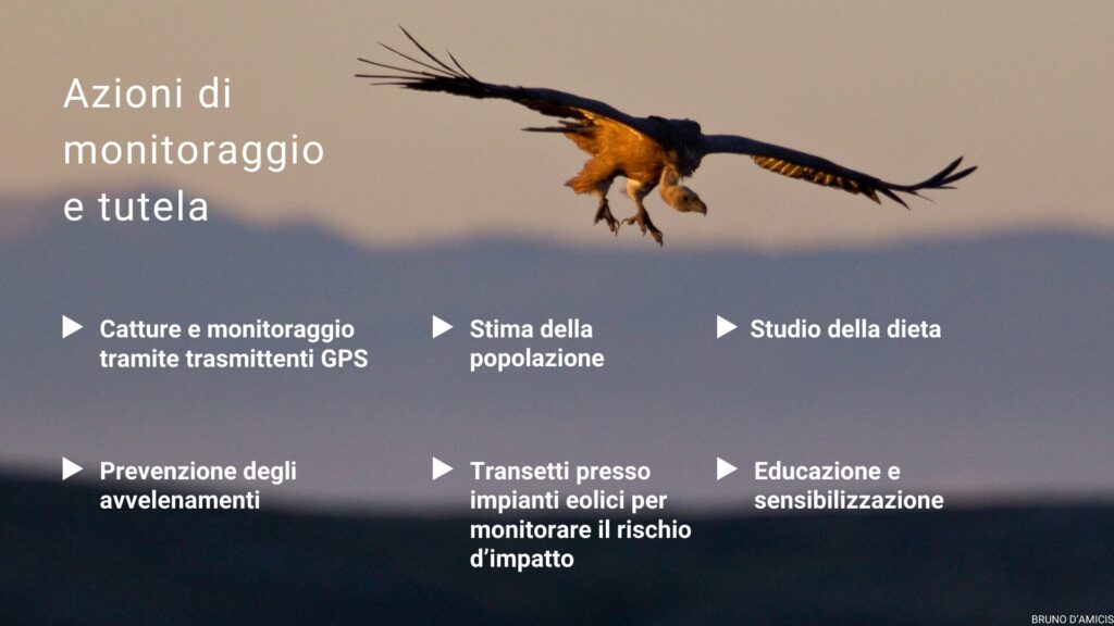 Le azioni