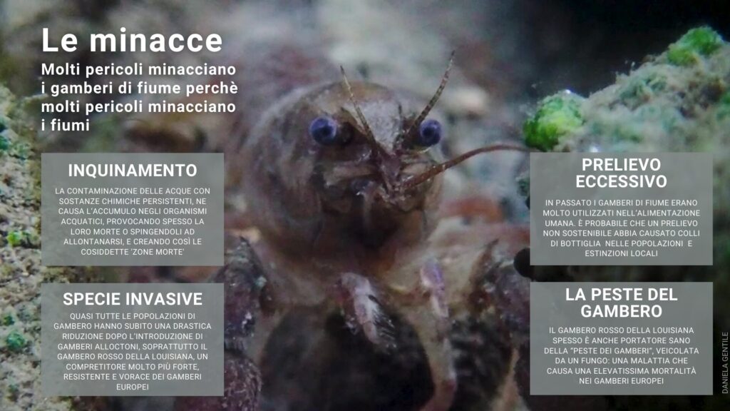 Le minacce