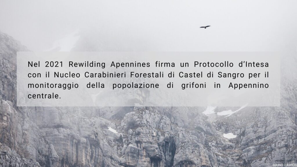 Monitorare