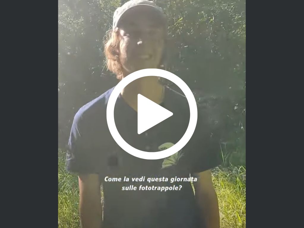 Fototrappole: che impresa!