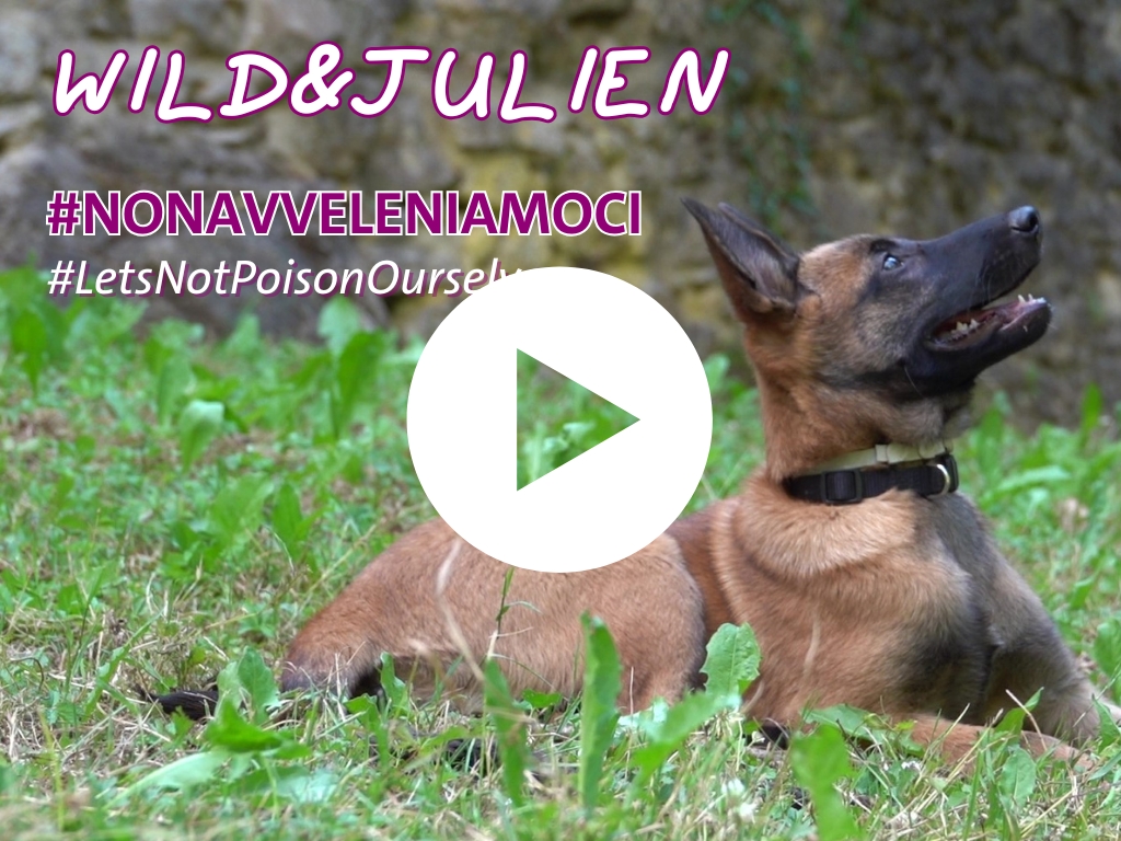 Wild & Julien contro il veleno