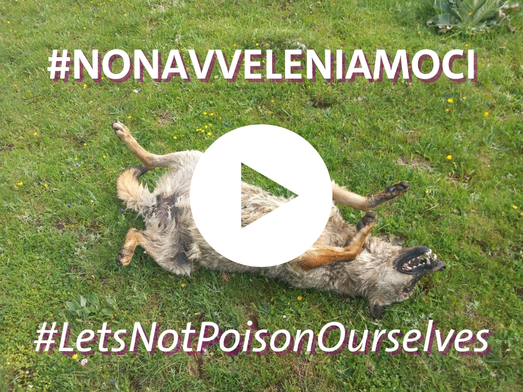Non Avveleniamoci