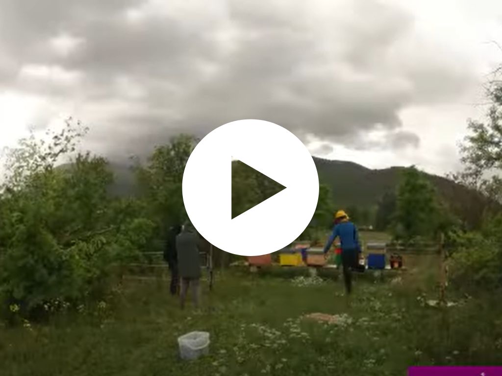 Recinzioni elettrificate: time lapse
