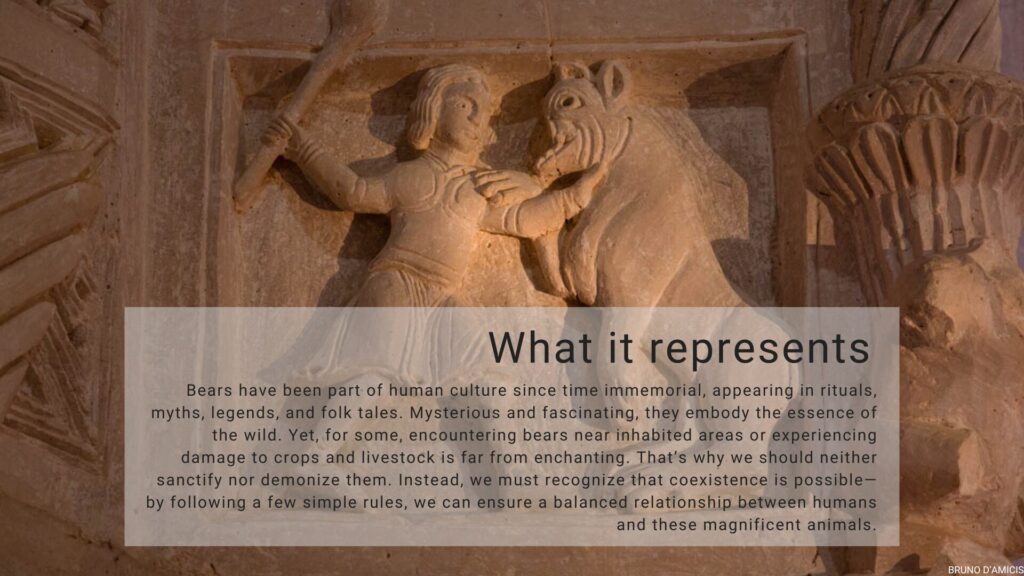 What it represents