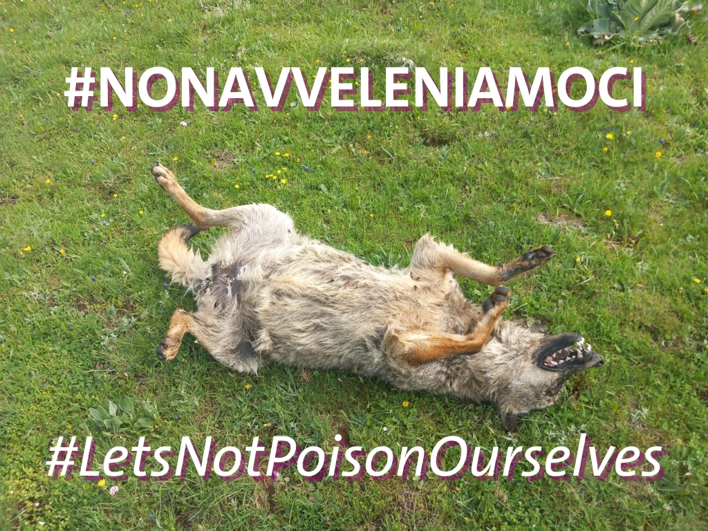 Let's not poison ourselves!