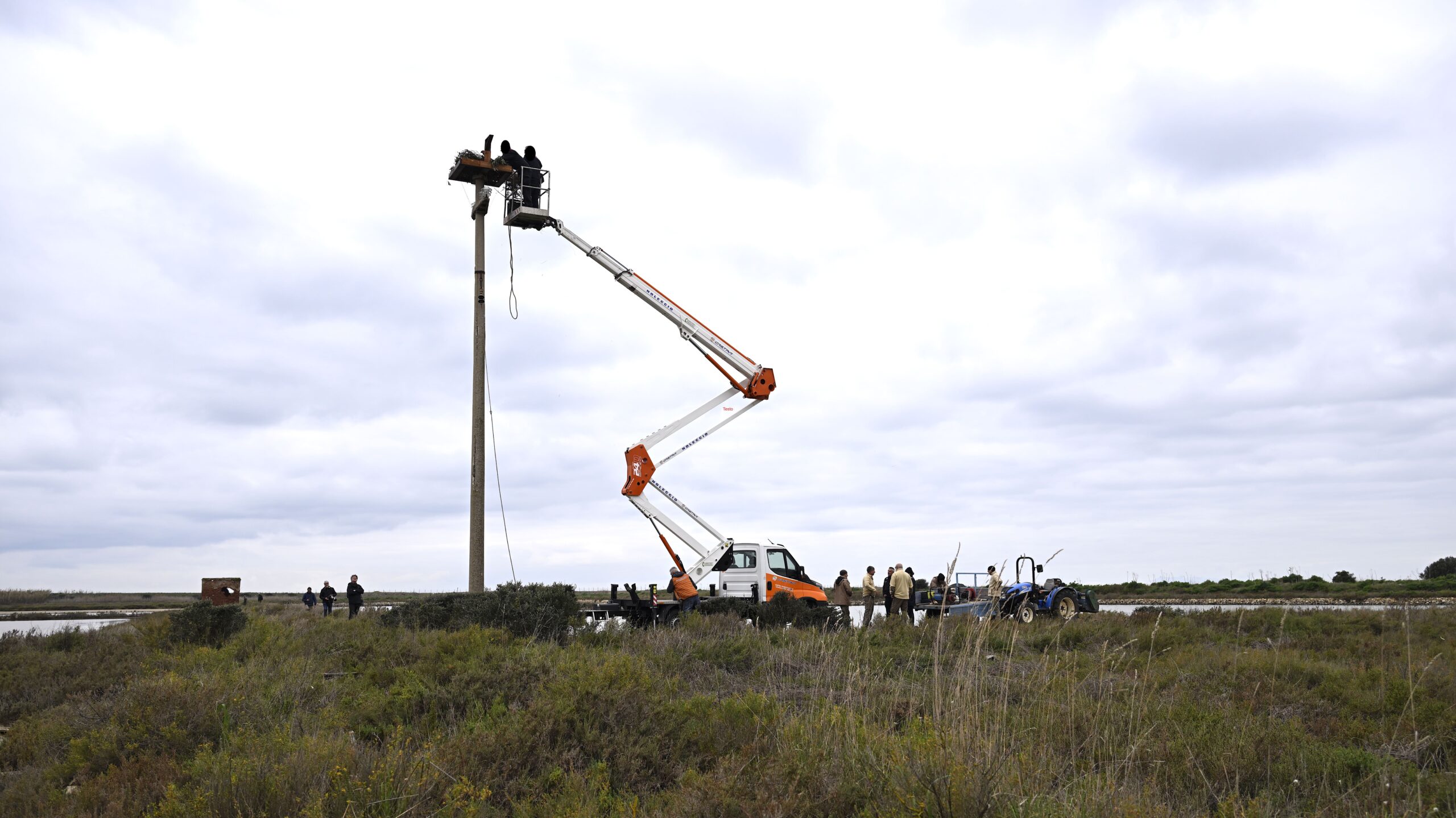 Installation of an artificial Osprey nest on a decommissioned ENEL medium-voltage power pylon.