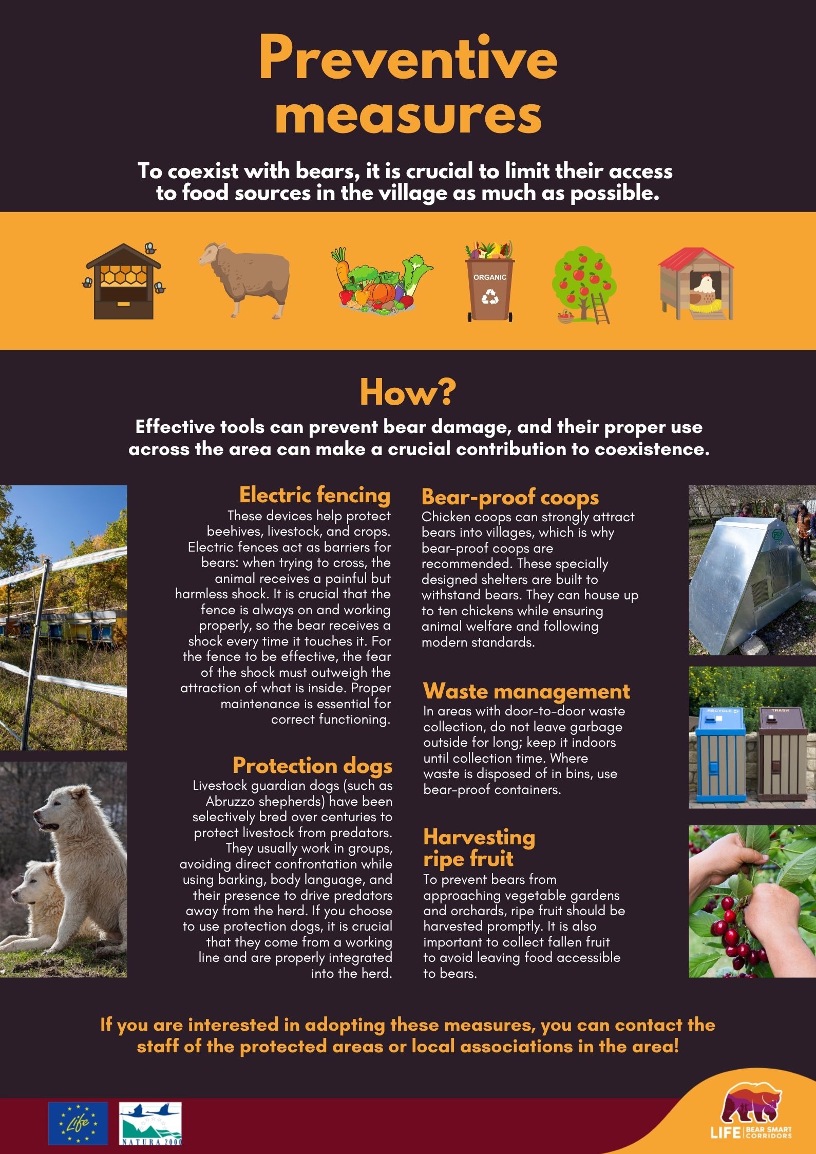 LIFE Bear-Smart Corridors infopanel bear encounter