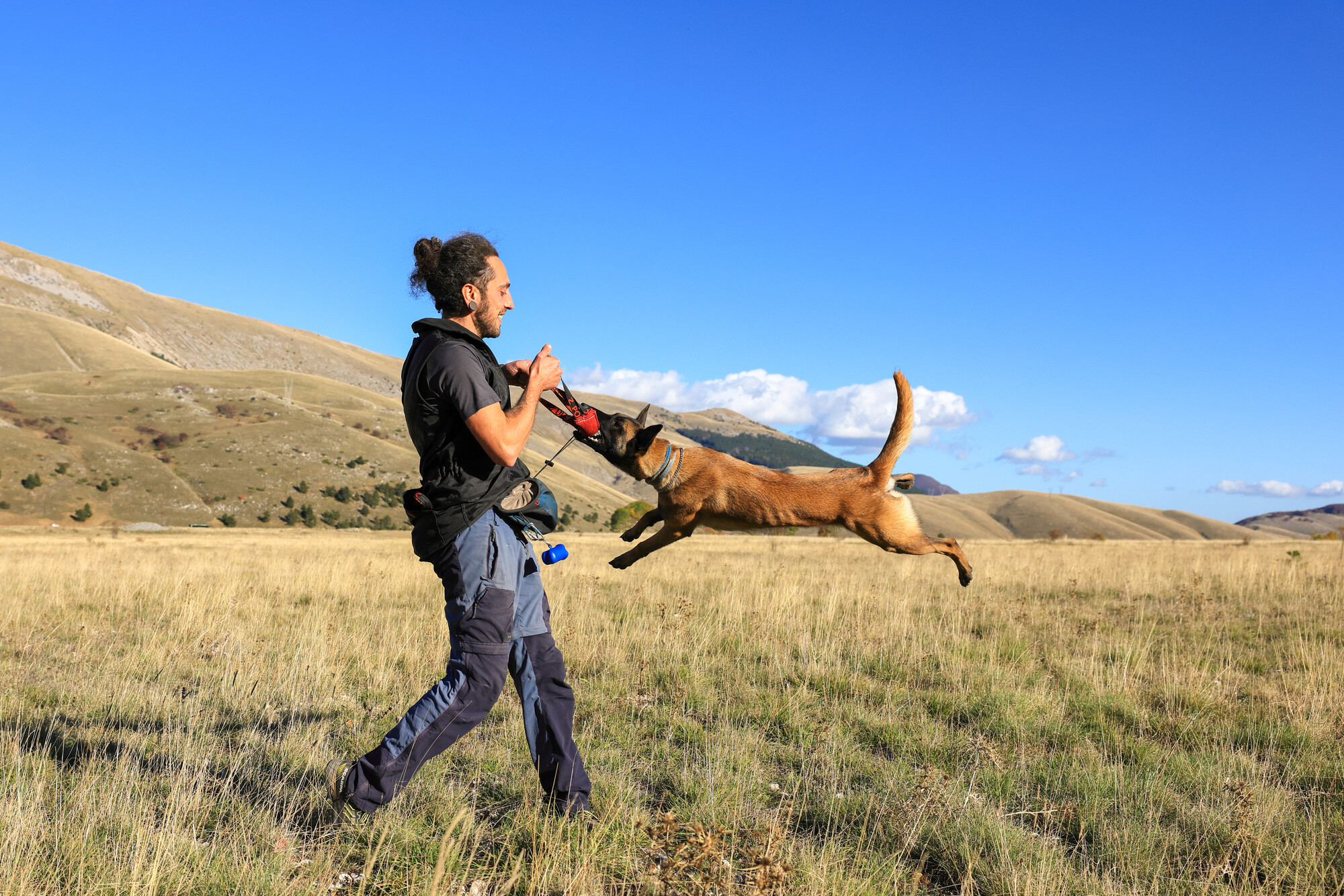 Wild, the dog, and handler Julien Leboucher form an anti-poison unit in the Central Apennines of Italy.
