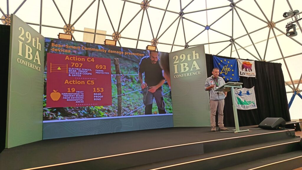 Mario Cipollone, director of Rewilding Apennines, outlines the results of the actions carried out as part of the LIFE Bear-Smart Corridors project in the central Apennines.